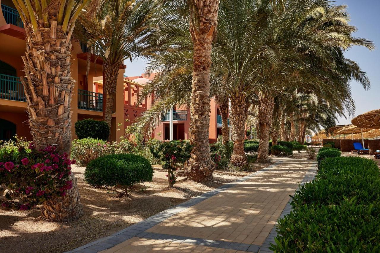 Sheraton Miramar 5* El Gouna